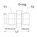 AN16 - AN20 o-ring